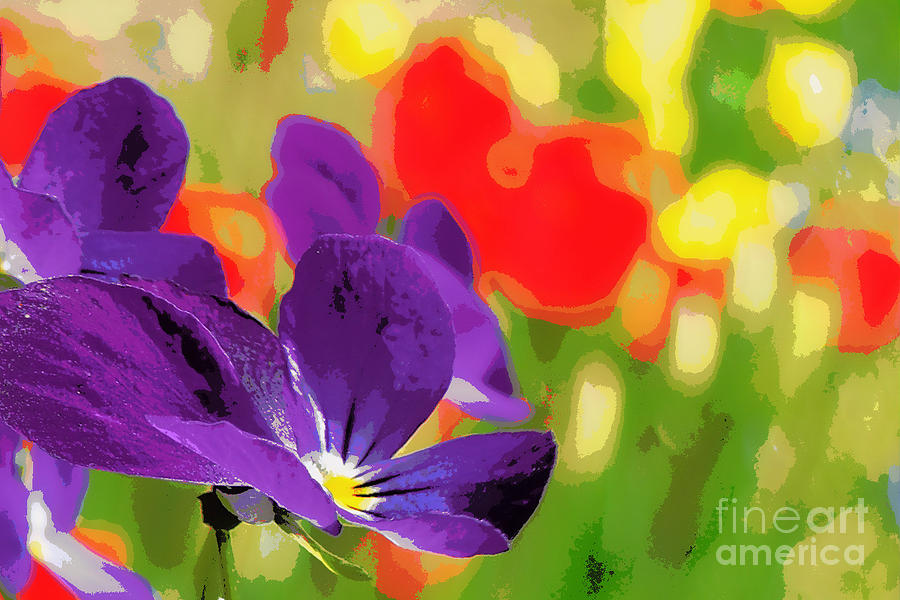 Spring Photograph - Posterized Viola 2 by Heidi Manly