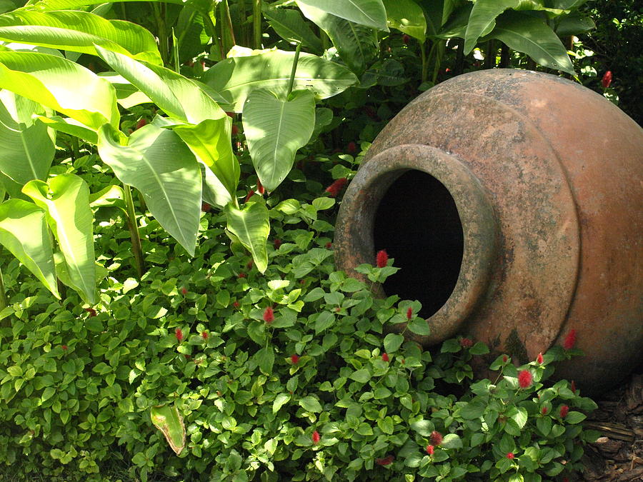 Pot in the Garden Photograph by Jo Jurkiewicz
