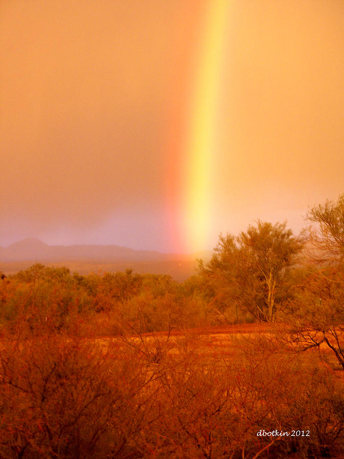 Pot O Gold Photograph by Dick Botkin