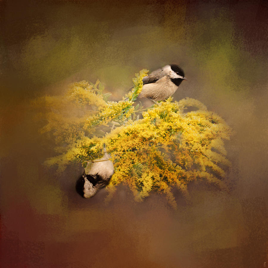 Pot of Gold - Chickadees - Song Birds - Wildlife Photograph by Jai Johnson