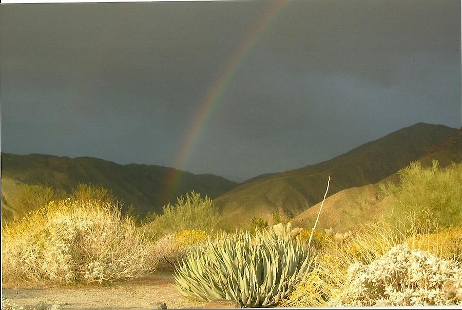 Pot of Gold Photograph by Dody Rogers