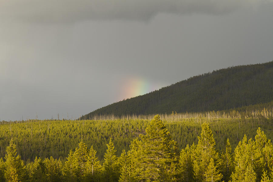 Pot of Gold Photograph by Jack R Perry