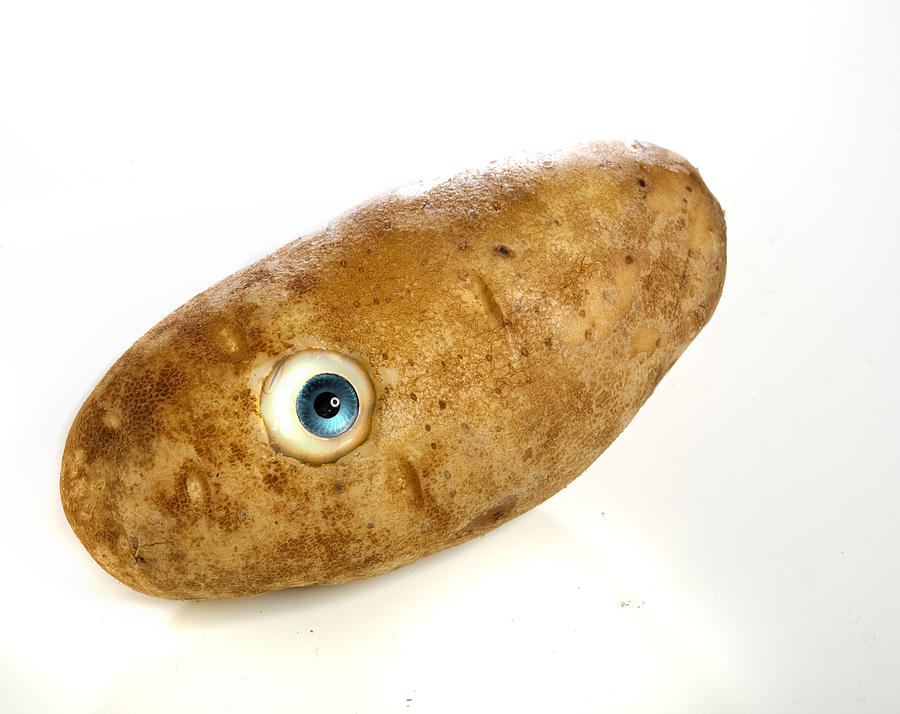 Potato Photograph - Potato Eye by Rick Mosher
