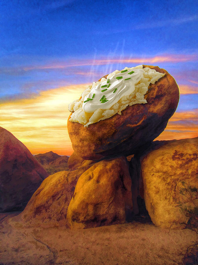 Potato Rock Painting by Snake Jagger