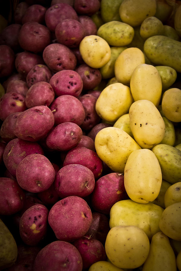 Potatoes Photograph by Aaron Berg