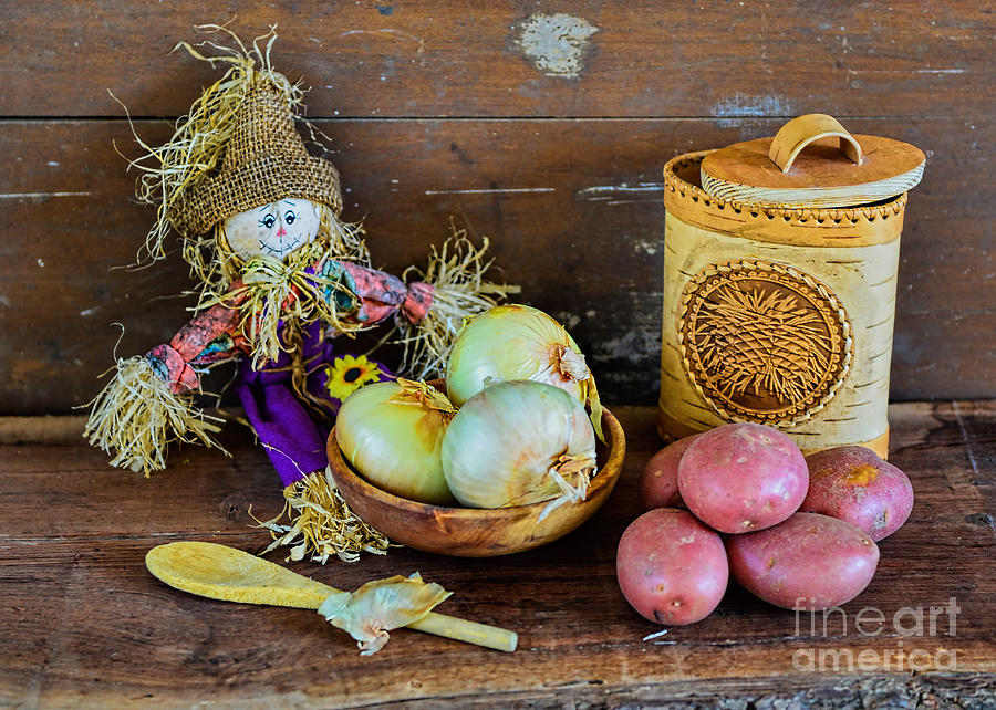 Potatoes and Onions Photograph by Olga Hamilton