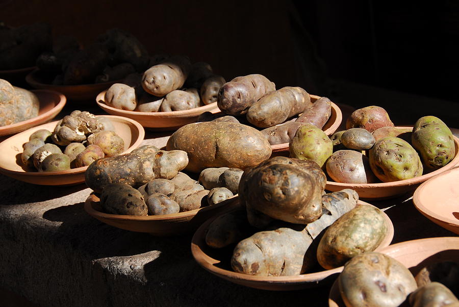 Potato Photograph - Potatoes by Ivo Kerssemakers