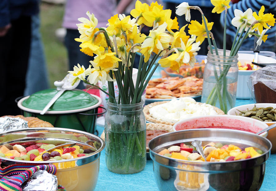 Potluck or Picnic in Spring Photograph by ParkerDeen