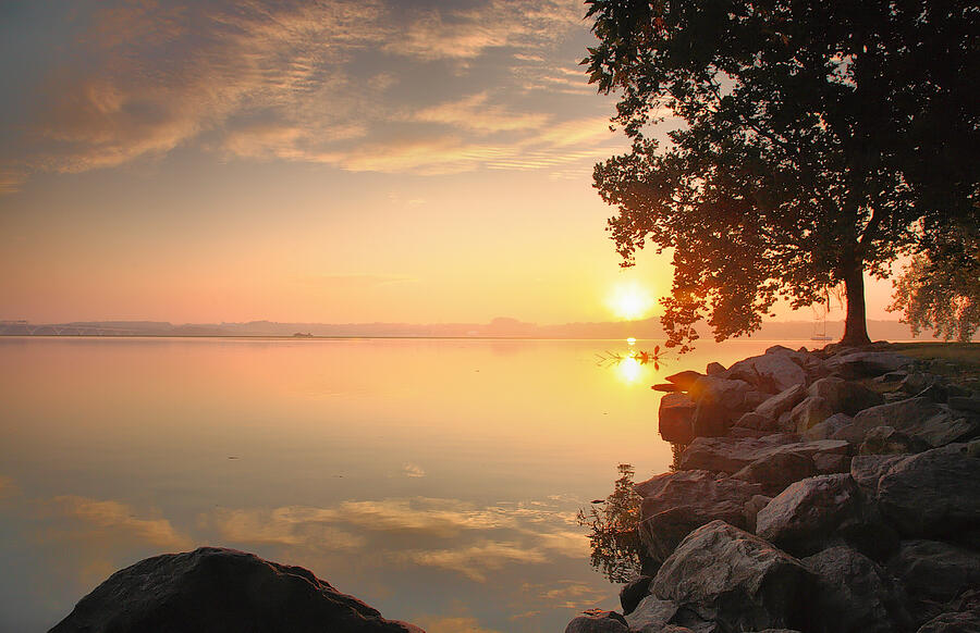 Nature Photograph - Potomac Sunrise II by Steven Ainsworth