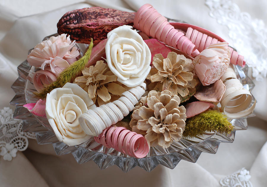 Potpourri in Pink and Cream Photograph by Connie Fox