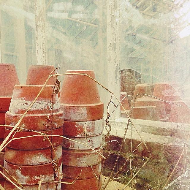 Pots In The Greenhouse 🌱 Photograph by Stephanie Tomlinson