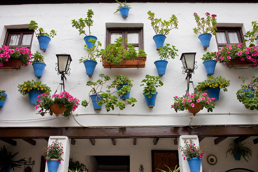 Flower Photograph - Pots on a House Wall by Artur Bogacki