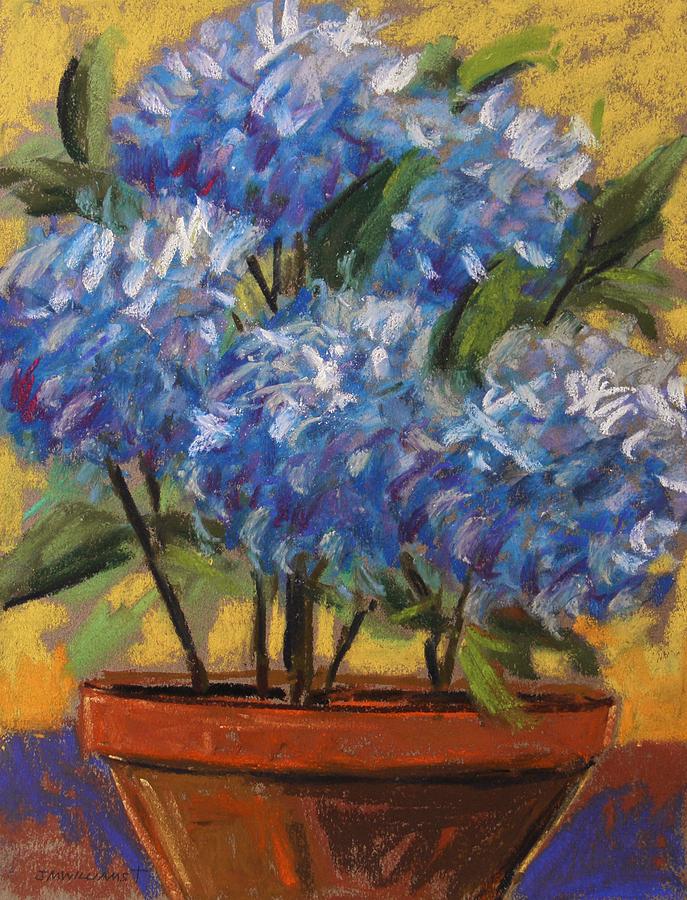 Potted Hydrangeas Painting by John Williams