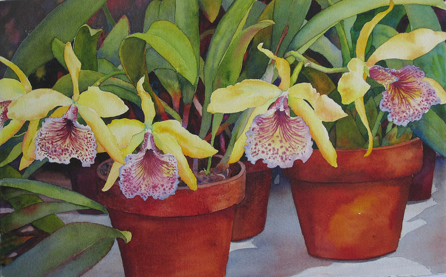 Potted Orchids Painting by Judy Mercer