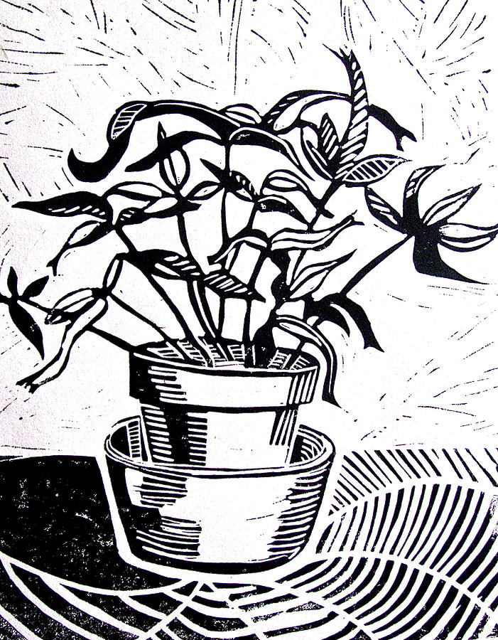 Potted Plant Drawing by Linda Williams