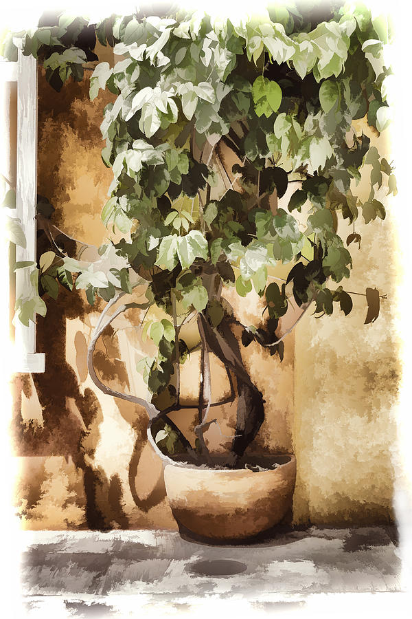 Potted Plant Digital Art by Maria Coulson
