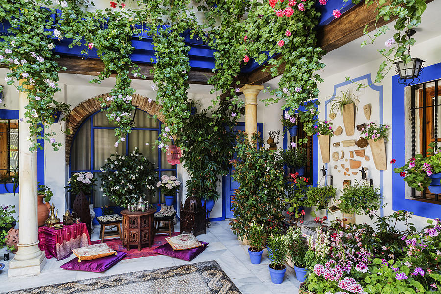 Potted plants and flowers in courtyard Photograph by Pixelchrome Inc