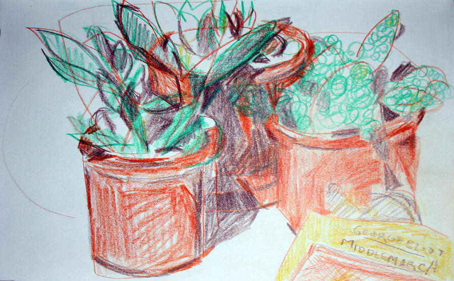 Greek Painting - Potted Plants and Novel by Anita Dale Livaditis