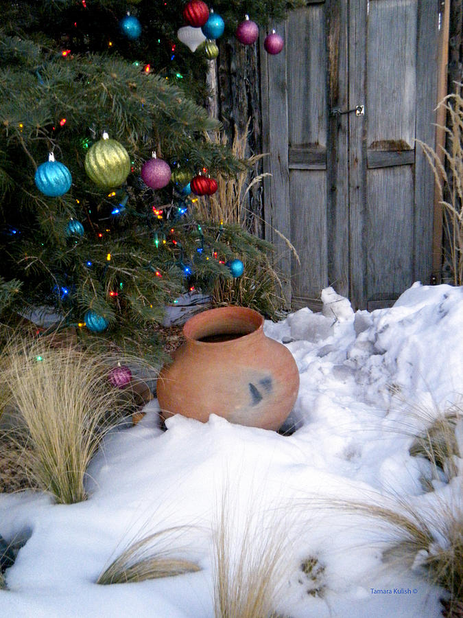 Pottery in Snow at Xmas Photograph by Tamara Kulish