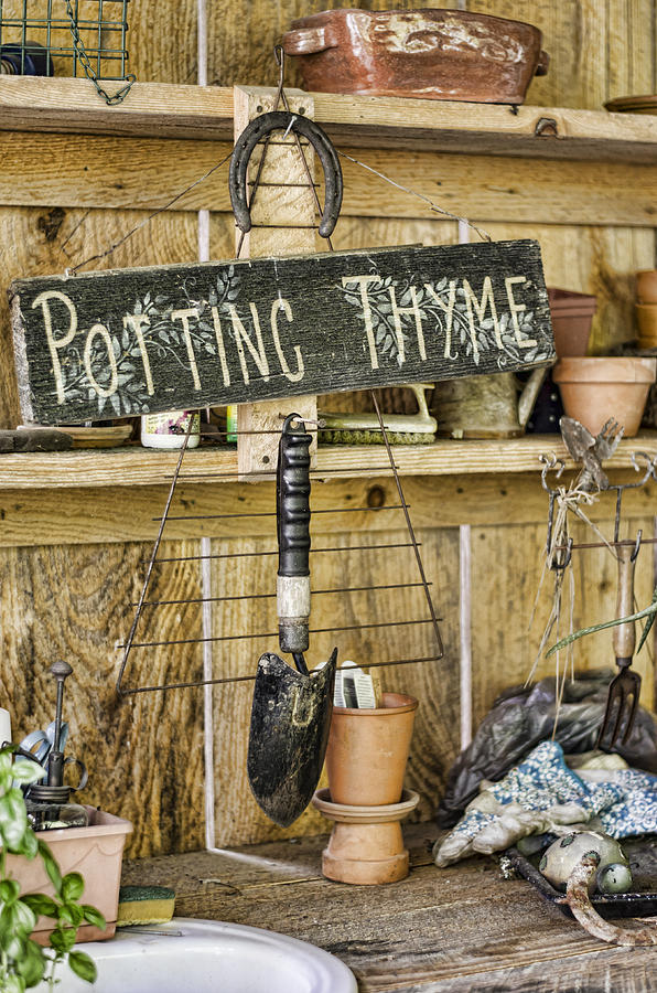 Potting Thyme Photograph by Heather Applegate