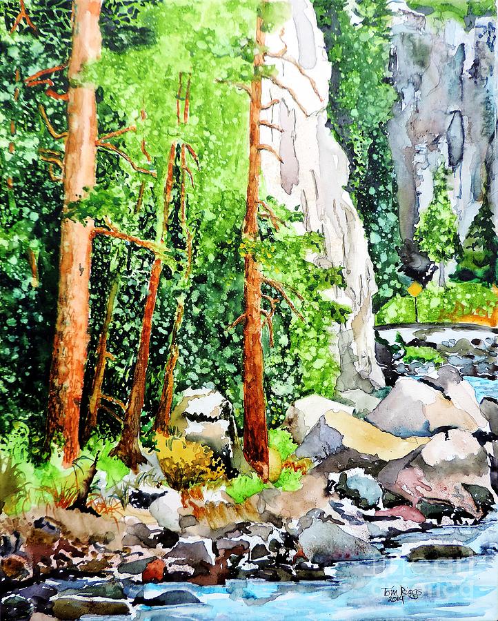 Poudre Canyon Beauty Painting by Tom Riggs