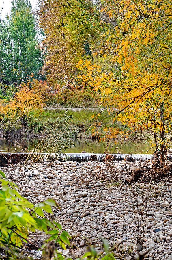 Fall Photograph - Poudre River-2 by Baywest Imaging