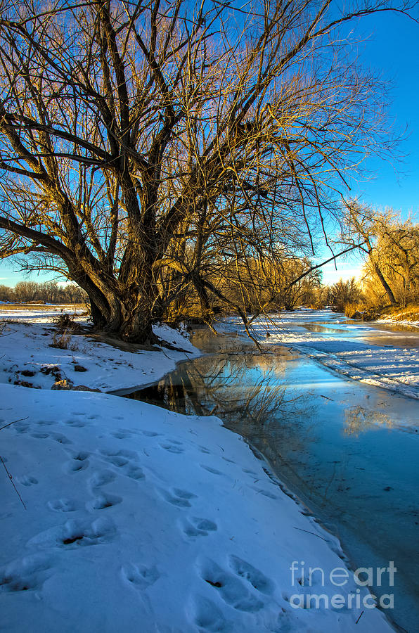Winter Photograph - Poudre River Ice by Baywest Imaging
