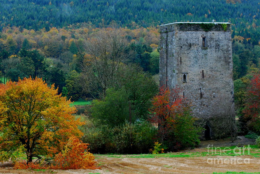 County Tipperary Photograph - Poulakerry Castle by Joe Cashin