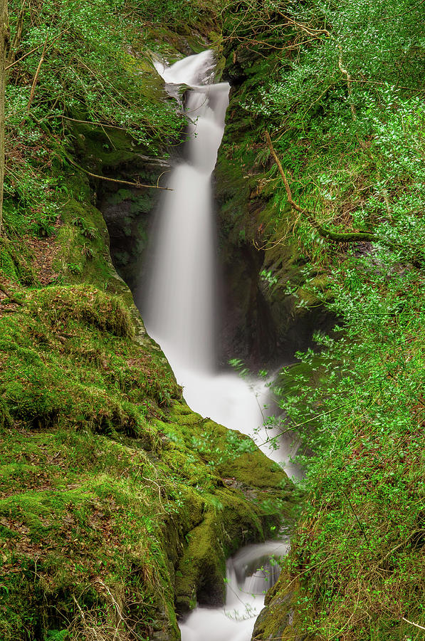 Tranquility Photograph - Poulanass Waterfall by Photography By Colin Egan Tranquility Photograph - Poulanass Waterfall by Photography By Colin Egan