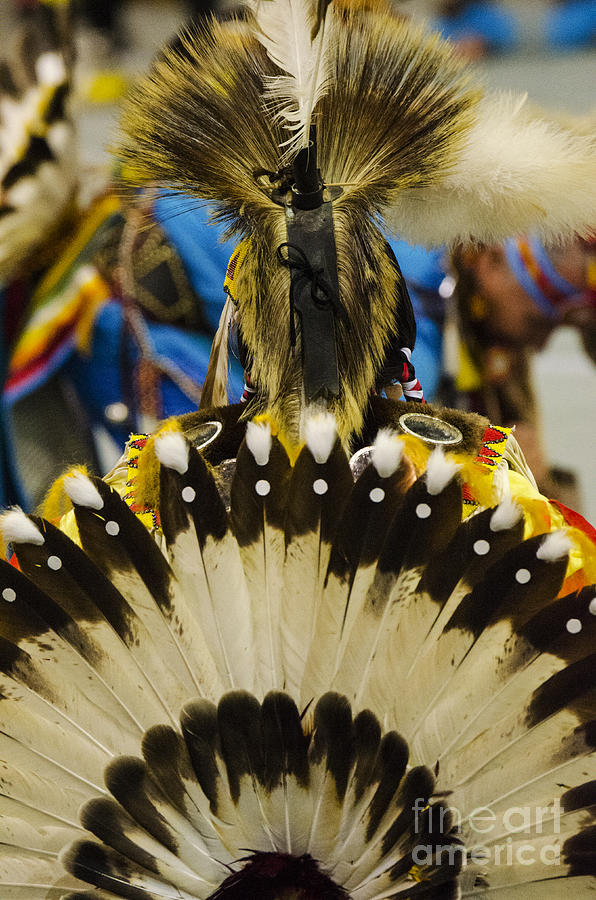 Music Photograph - Pow Wow Tail Feathers by Bob Christopher