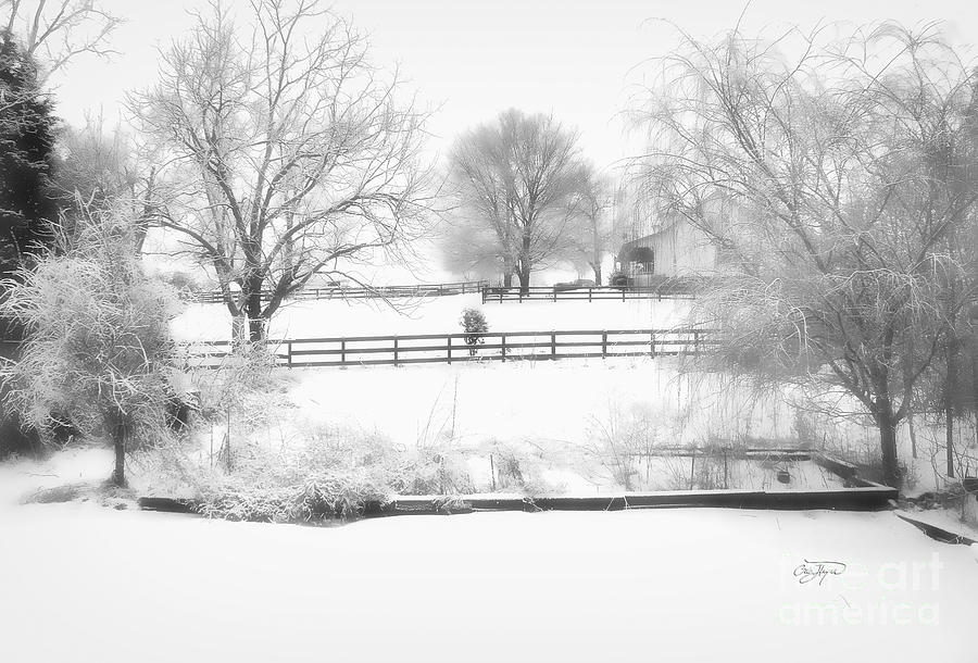 Winter Photograph - Powder by Cris Hayes