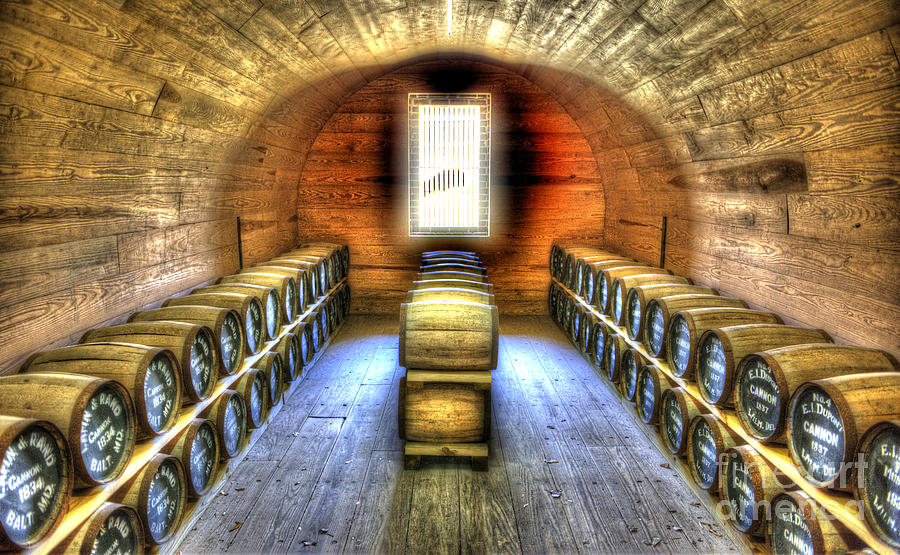 Powder Room Photograph - Powder Room by Dale Powell
