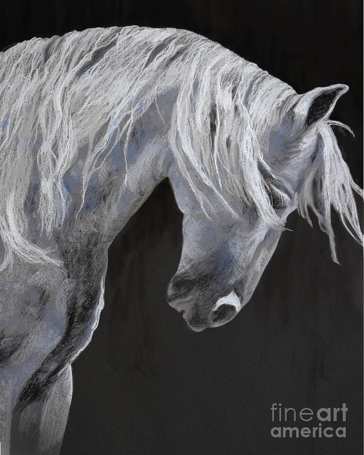 Horse Pastel - Power and Grace 2 by Kathryn Yoder