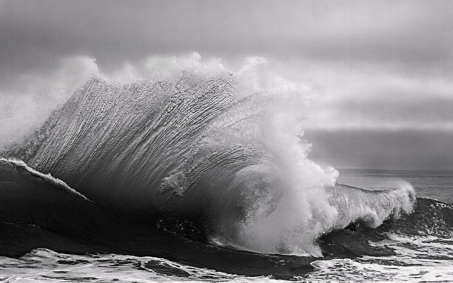 Power in the Wave BW By Denise Dube Photograph by Denise Dube