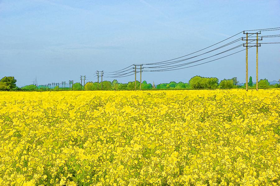 Power lines in Innsworth Photograph by Ron Harpham
