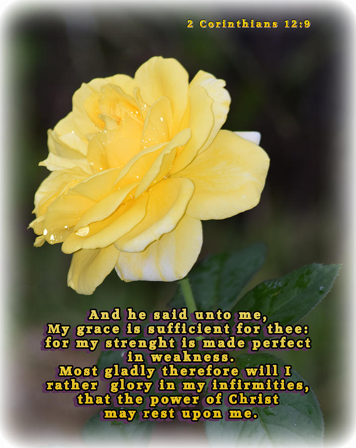 Rose Photograph - Power of Christ by Sheri McLeroy