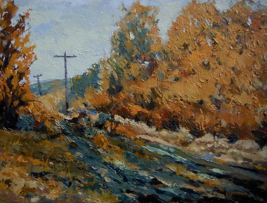 Power Poles Behind Camelback Park Painting by Les Herman