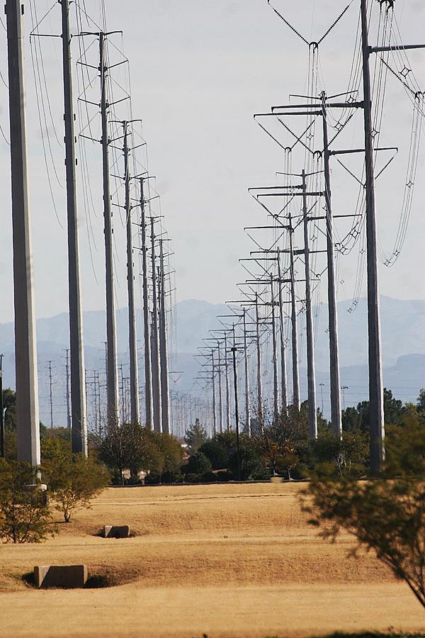 Power Poles  Photograph by Tom Janca