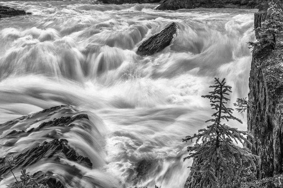 Banff National Park Photograph - Power Stream by Jon Glaser