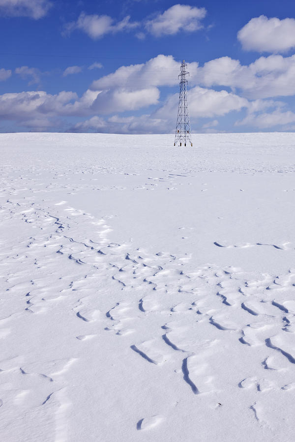 Power Transmission Line In Snow-covered Photograph by Jeremy Woodhouse