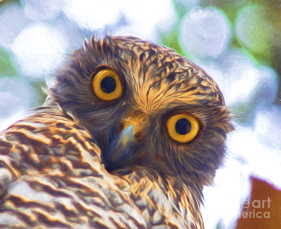 Powerful owl Photograph by Sheila Smart Fine Art Photography