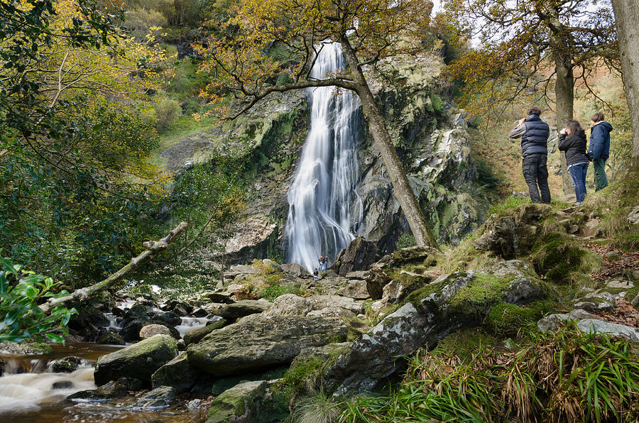 Powerscourt Waterfall  Photograph by Martina Fagan
