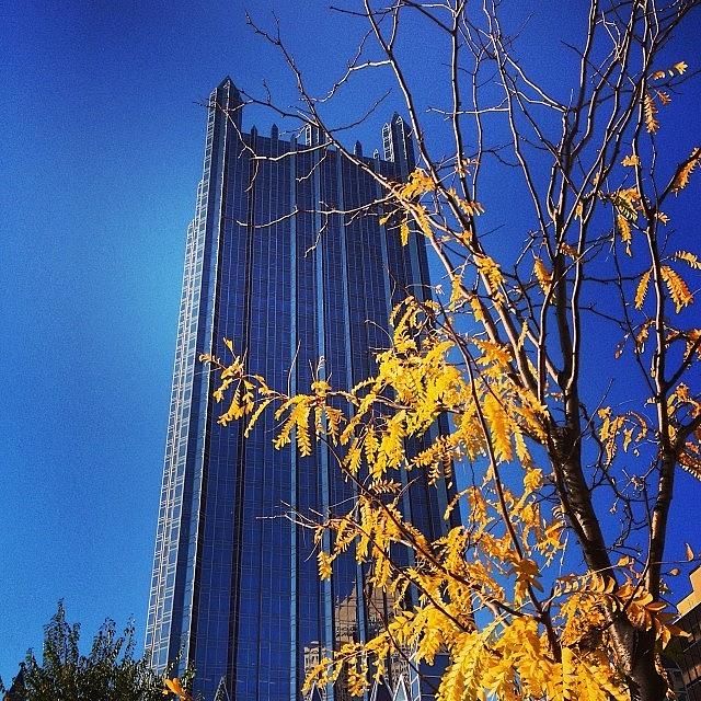 Pittsburgh Photograph - Ppg Place 
#ppgplace #pittsburgh by Hilary Solack