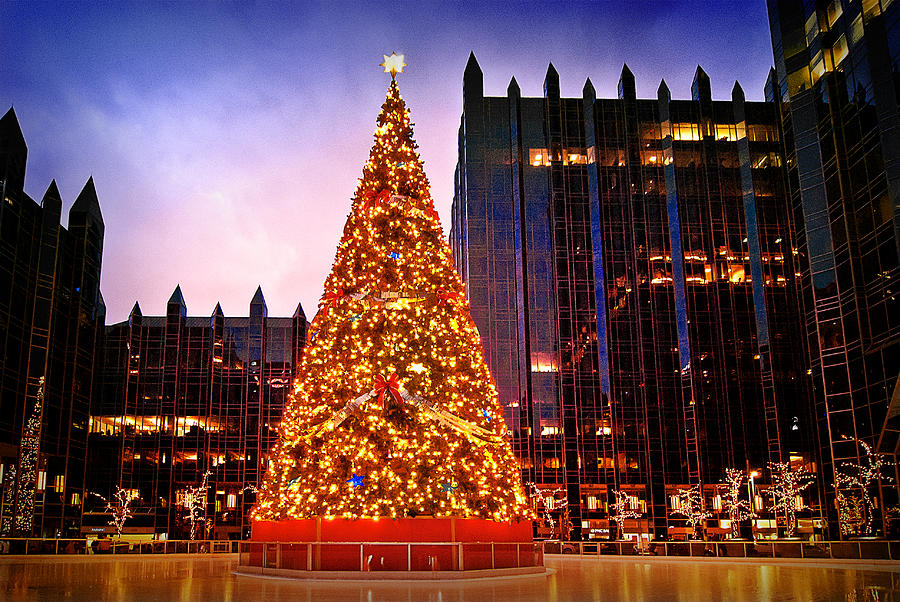 Pittsburgh Photograph - PPG Tree by Mark Dottle