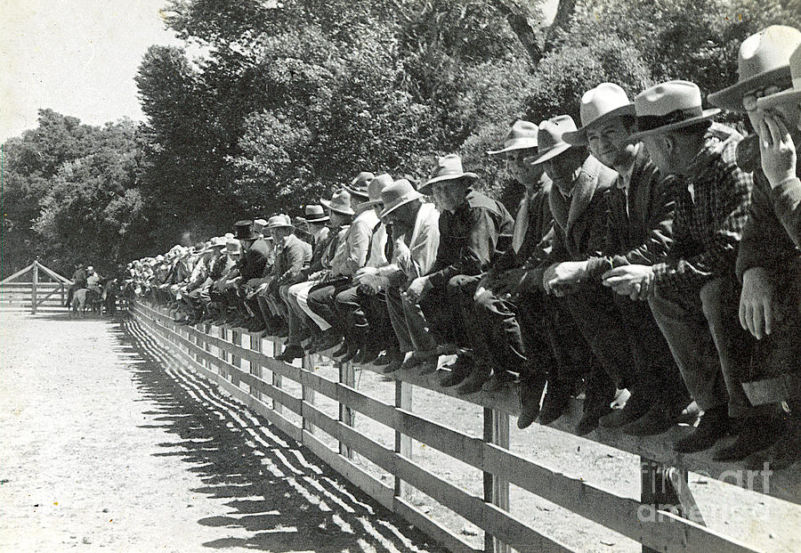 Practice Rodeo 1935 Photograph by Patricia Tierney