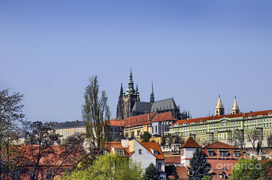 Prague Castle and St Vitus Photograph by Brenda Kean