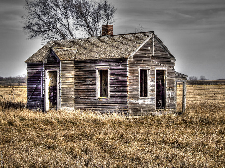 Prairie Bungalow - 1 Photograph by M Dale - Fine Art America