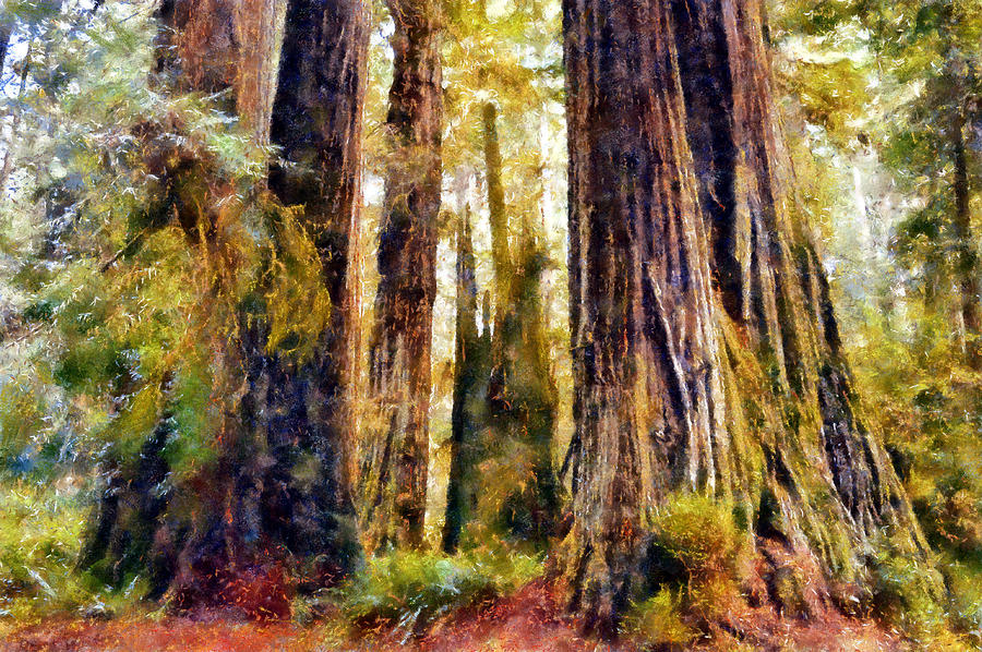 Prairie Creek Redwoods Digital Art by Kaylee Mason