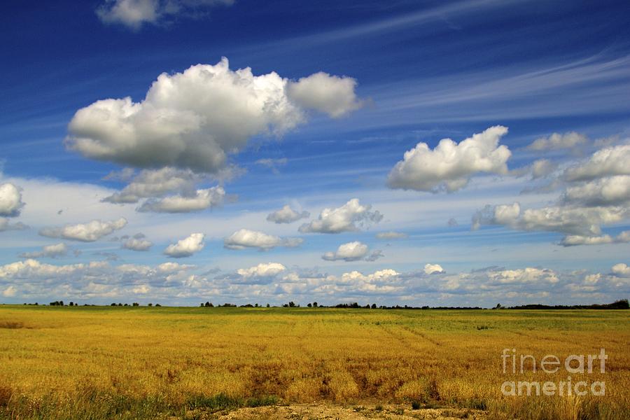 Prairie Daydream Photograph by Alanna DPhoto