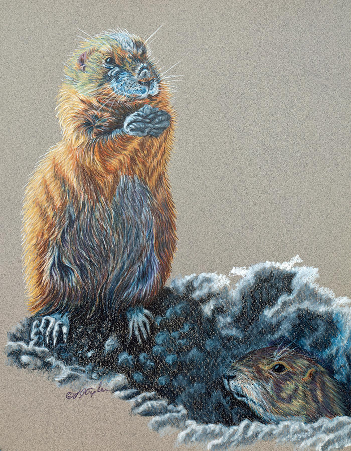 Prairie Dogs Painting by Lana Tyler